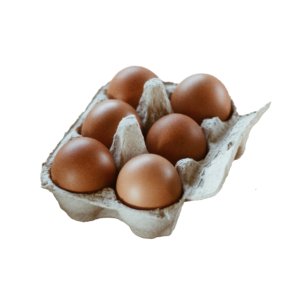 Verse eieren - 6 stuks